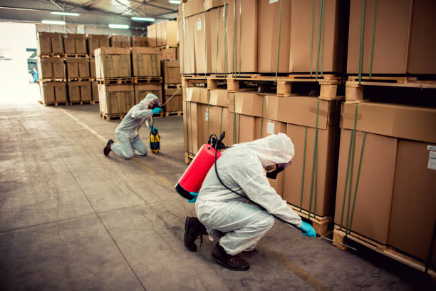 Best Pest Control for Businesses  in Groves, TX