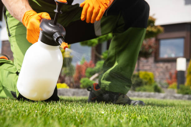 Reliable Groves, TX Pest Control Solutions