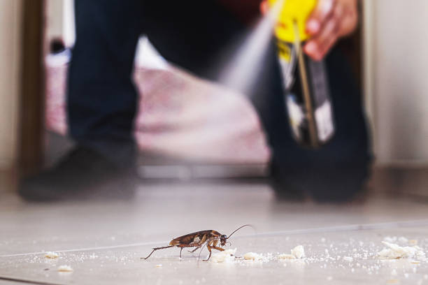 Best Cockroach Control Services  in Groves, TX